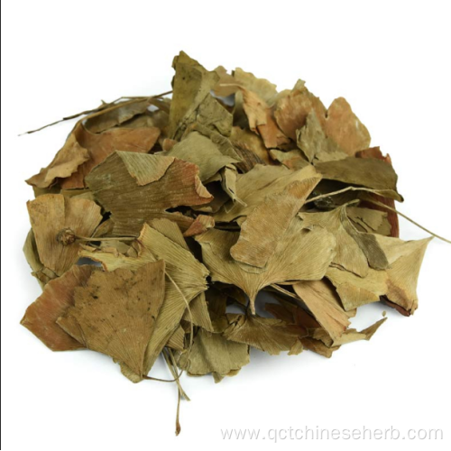 Top Quality Ginkgo Folium